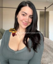 Call girls in Sector 28 Noida 8750020700 Escorts service